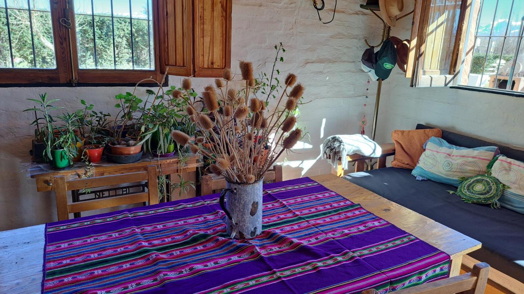 Aire De Barreal Hostel Andino Eksteriør bilde