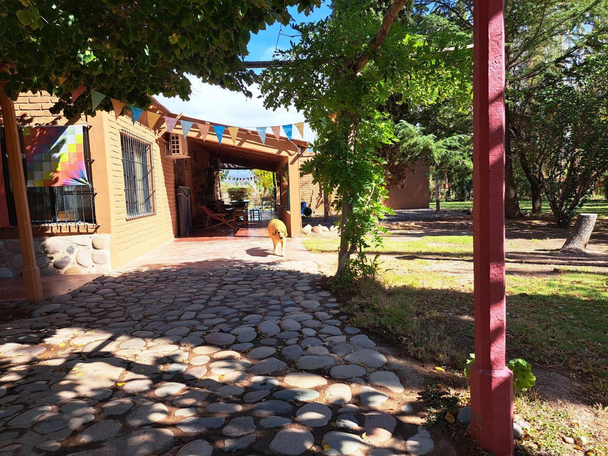 Aire De Barreal Hostel Andino Eksteriør bilde
